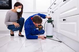 Best Fumigation Services  in Mills, WY