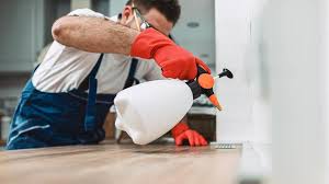 Best Real Estate Pest Inspections  in Mills, WY